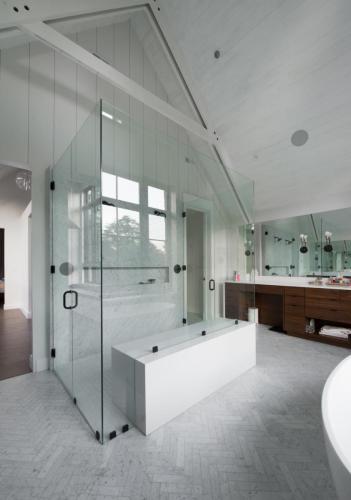 95 S Ivy Glass Shower